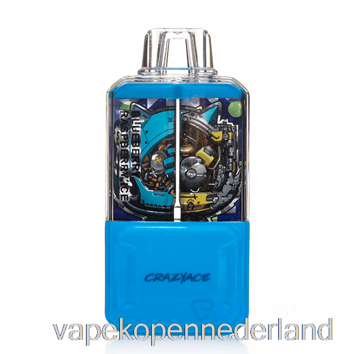 Vape Nederland Crazyace B15000 Wegwerp Bosbessen-frambozenijs